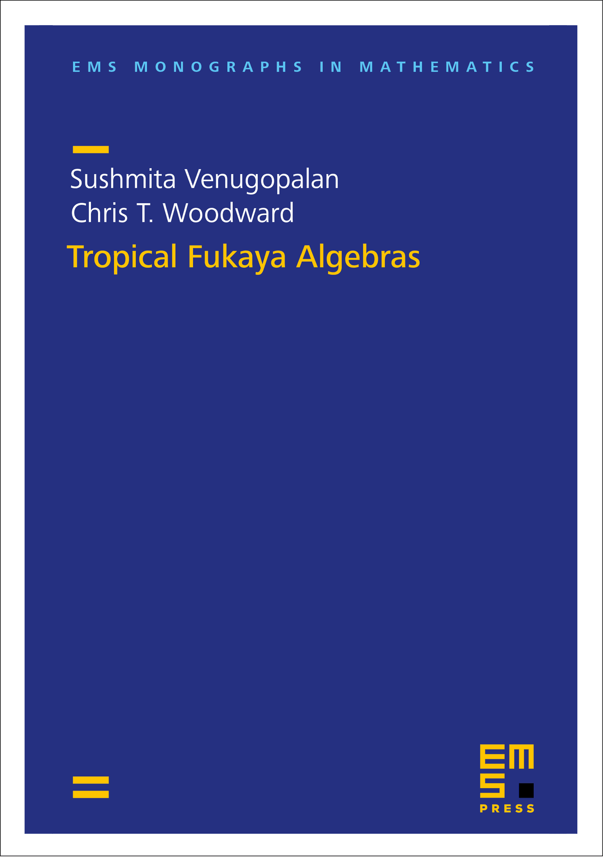Tropical Fukaya Algebras cover