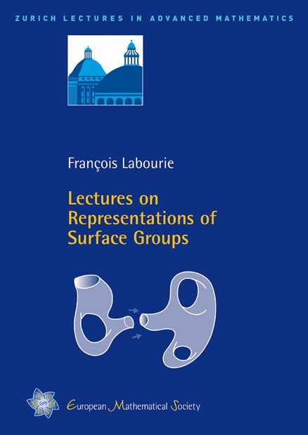 Lectures on Representations of Surface Groups cover